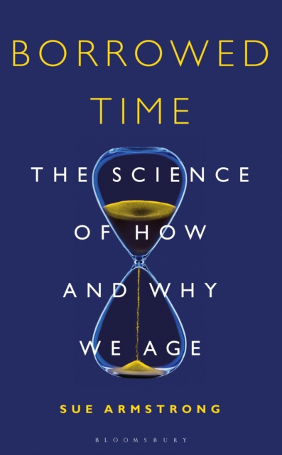 E-knjiga Borrowed Time Armstrong Sue Armstrong