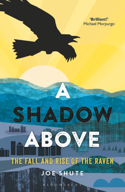E-knjiga Shadow Above Shute Joe Shute