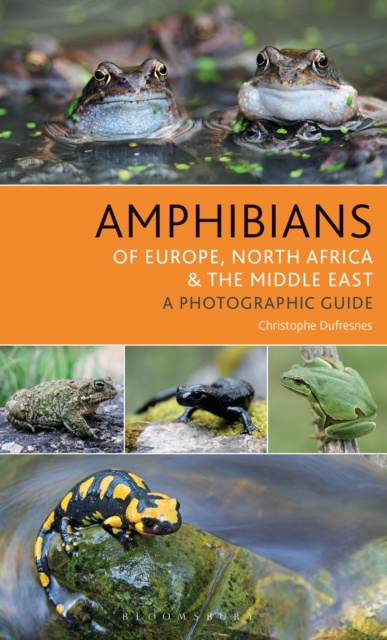 E-Book Amphibians of Europe, North Africa and the Middle East Dufresnes Christophe Dufresnes