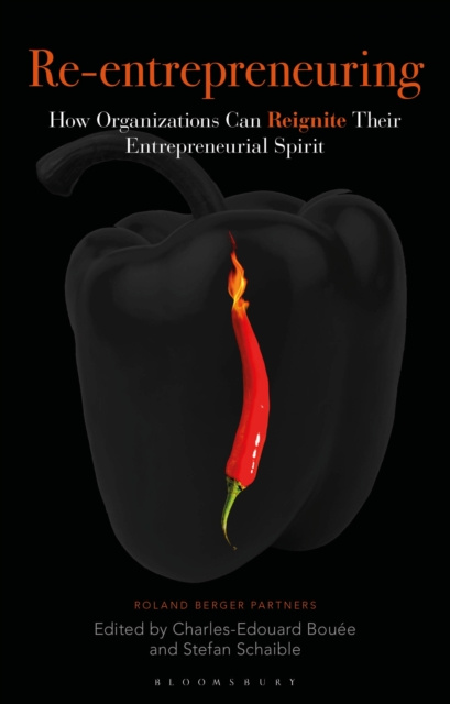 E-knjiga Re-Entrepreneuring Bou e Charles-Edouard Bou e