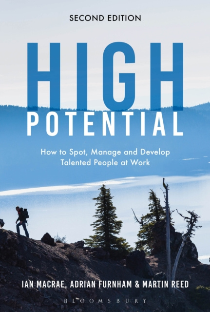 E-book High Potential MacRae Ian MacRae