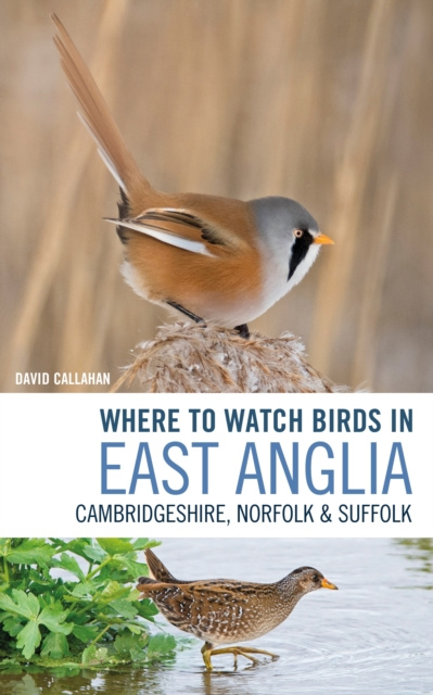 E-Book Where to Watch Birds in East Anglia Callahan David Callahan