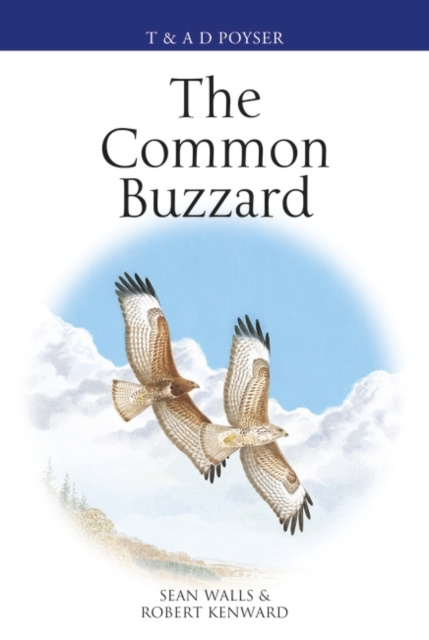 E-knjiga Common Buzzard Walls Sean Walls