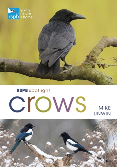 E-knjiga RSPB Spotlight Crows Unwin Mike Unwin