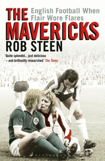 E-knjiga Mavericks Steen Rob Steen