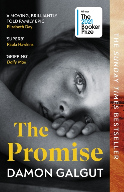 E-book Promise Damon Galgut