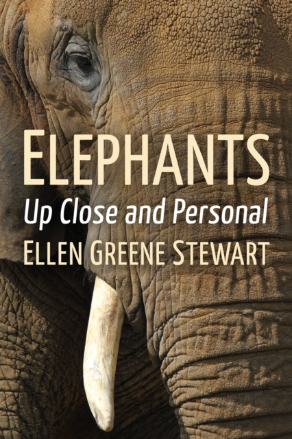 E-book Elephants Stewart Ellen Greene Stewart