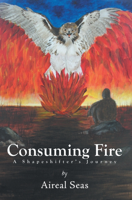 E-knjiga Consuming Fire Aireal Seas