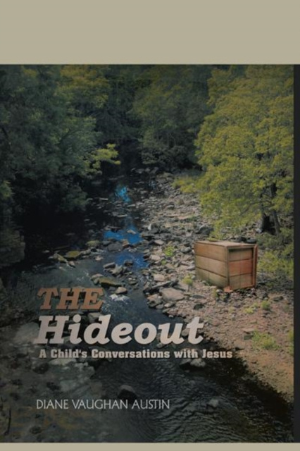 E-knjiga Hideout Diane Vaughan Austin