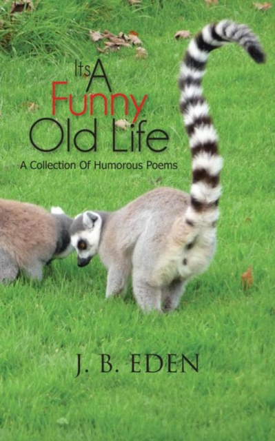 E-knjiga Its a Funny Old Life J. B. Eden