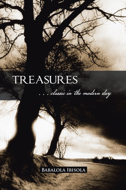 E-kniha Treasures Babalola Ibisola