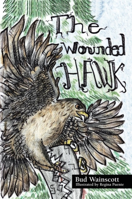 E-knjiga Wounded Hawk Bud Wainscott