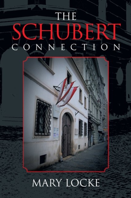 E-book Schubert Connection Mary Locke