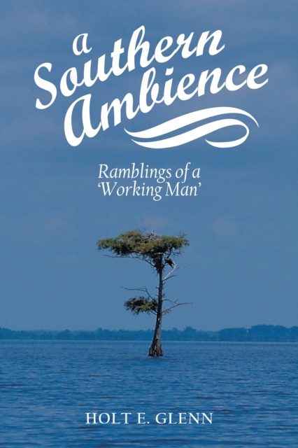 E-Book Southern Ambience Holt E. Glenn