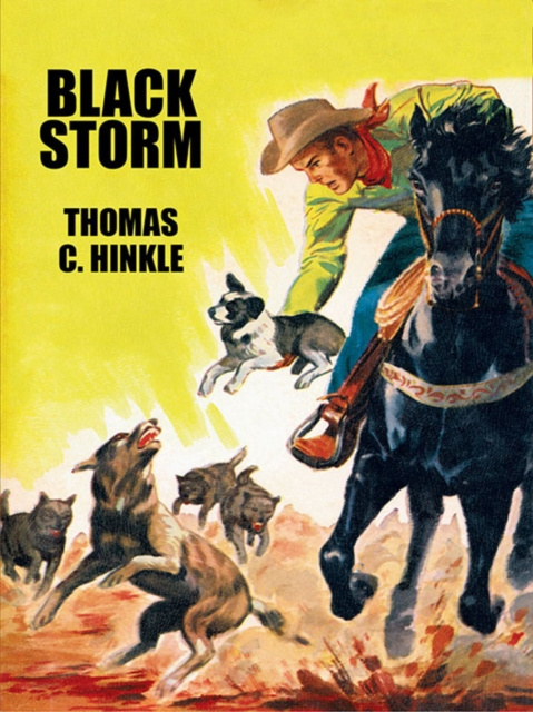 E-knjiga Black Storm Thomas C. Hinkle