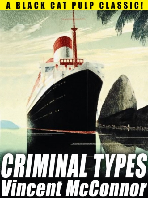 E-knjiga Criminal Types Vincent McConnor