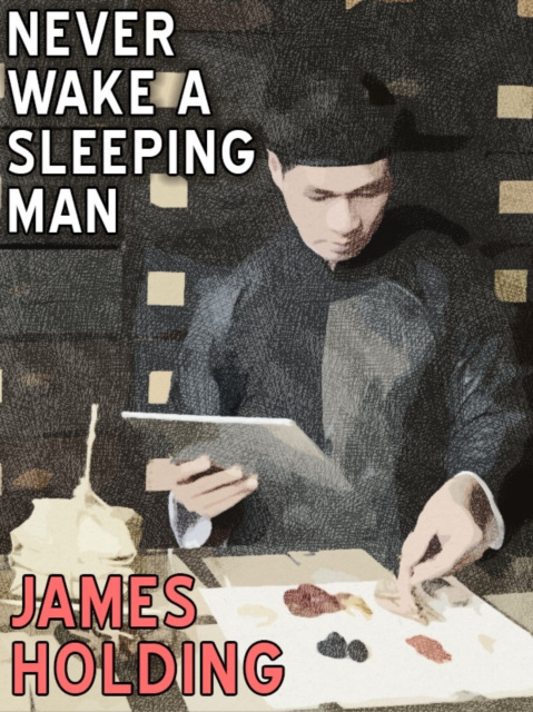 E-book Never Wake a Sleeping Man James Holding