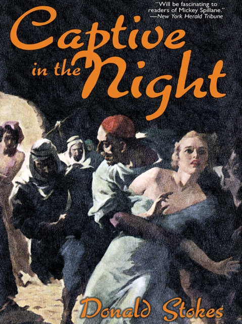 E-knjiga Captive in the Night Donald Stokes