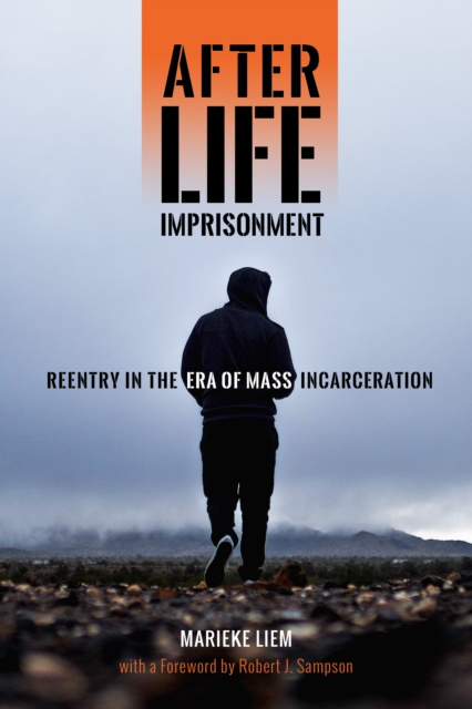E-book After Life Imprisonment Marieke Liem