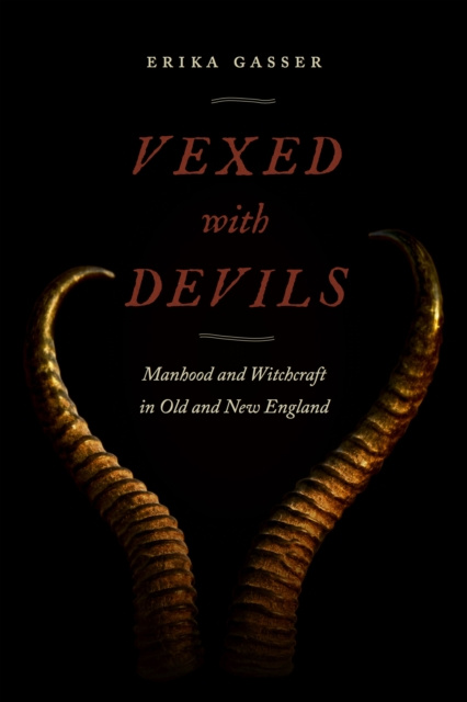 E-knjiga Vexed with Devils Erika Gasser