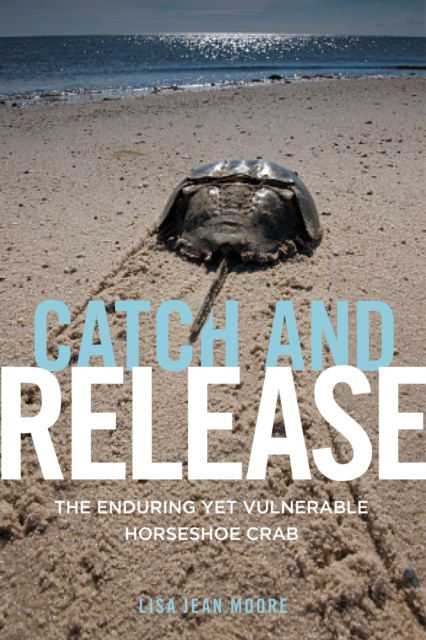 E-Book Catch and Release Lisa Jean Moore