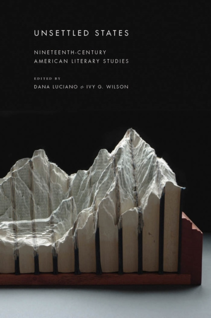E-Book Unsettled States Dana Luciano