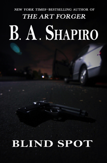 E-book Blind Spot B. A. Shapiro