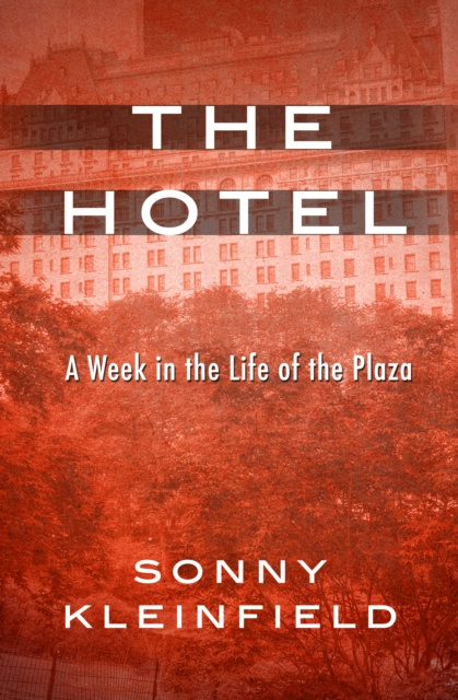 E-kniha Hotel Sonny Kleinfield