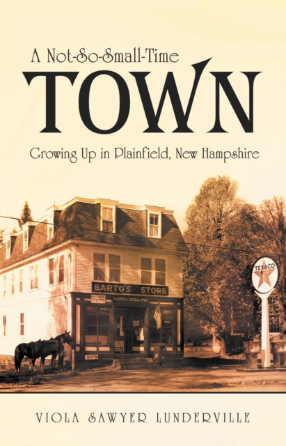 E-book Not-So-Small-Time Town Viola Sawyer Lunderville