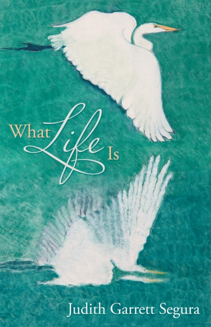 E-book What Life Is Judith Garrett Segura