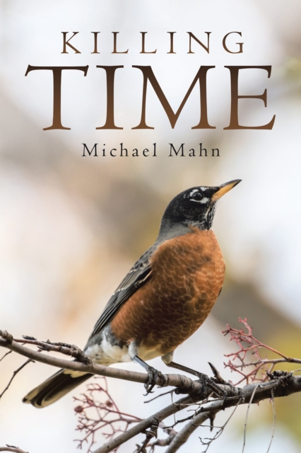E-book Killing Time Michael Mahn