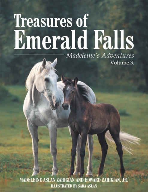 E-book Treasures of Emerald Falls Madeleine Aslan Zahigian
