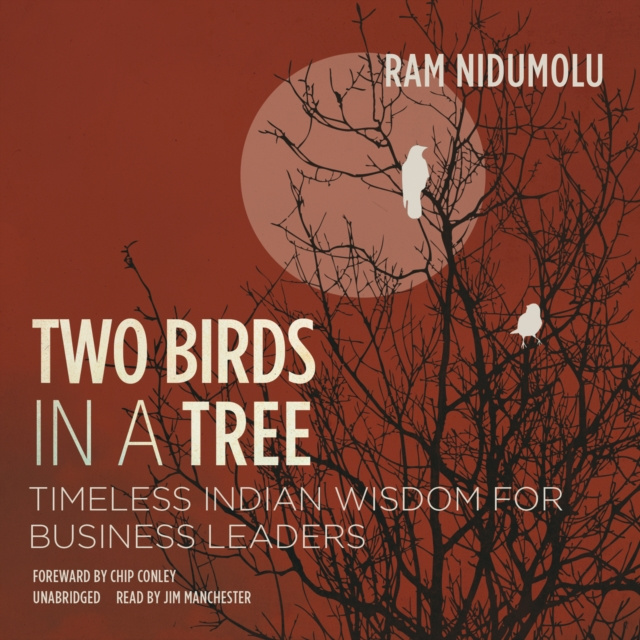 Audiokniha Two Birds in a Tree Ram Nidumolu