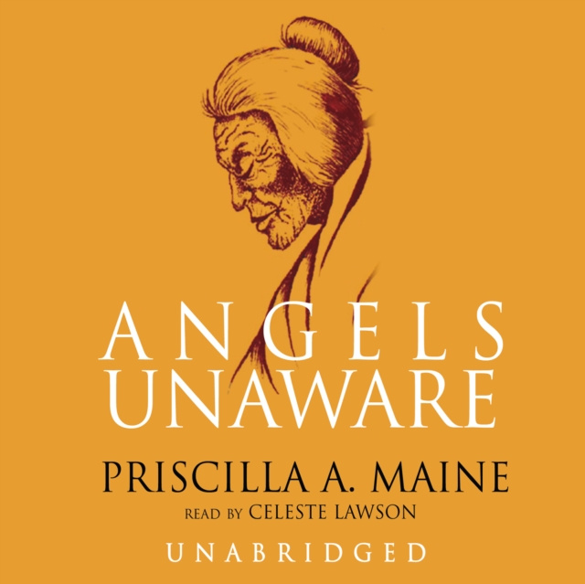 Luisterboek Angels Unaware Priscilla A. Maine