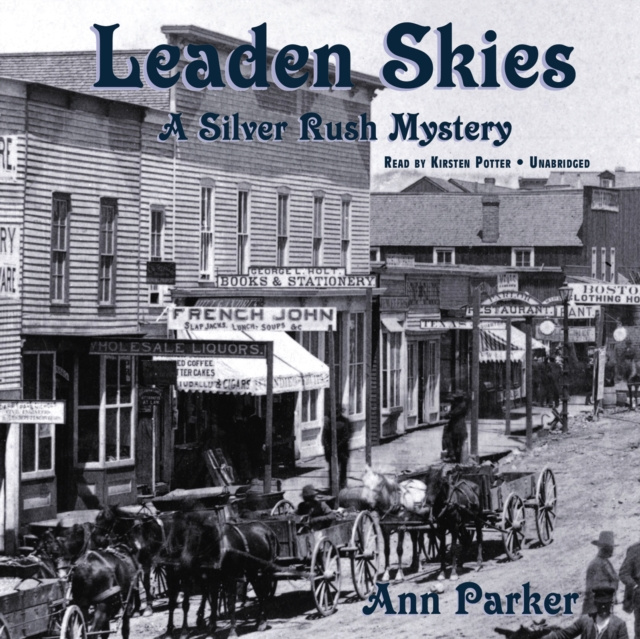 Audiobook Leaden Skies Ann Parker
