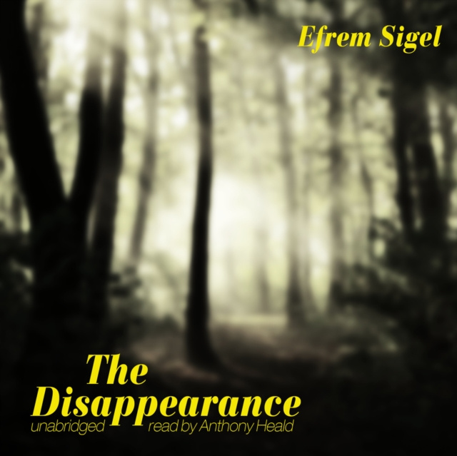 Audiokniha Disappearance Efrem Sigel