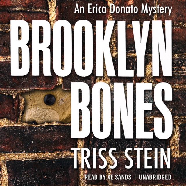 Audiobook Brooklyn Bones Triss Stein