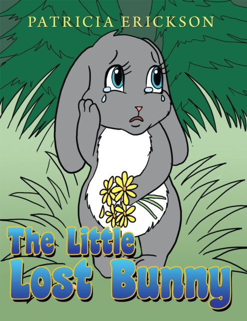 E-book Little Lost Bunny Patricia Erickson