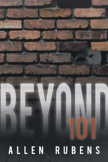 E-book Beyond 101 Allen Rubens
