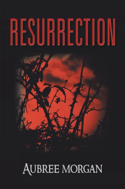 E-book Resurrection Aubree Morgan