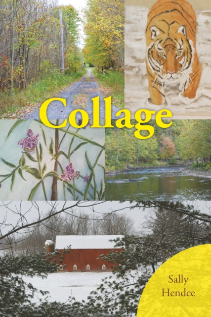 E-book Collage Sally Hendee