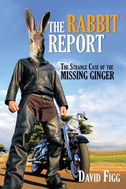 E-book Rabbit Report David Figg