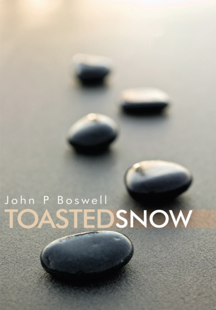 E-book Toasted Snow John P Boswell