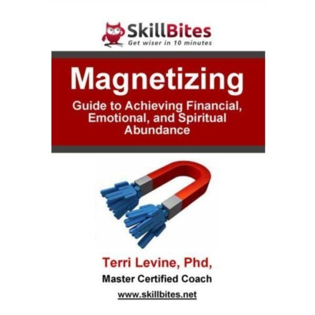 Audiobook Magnetizing Terri Levine