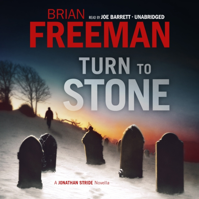 Audiokniha Turn to Stone Brian Freeman