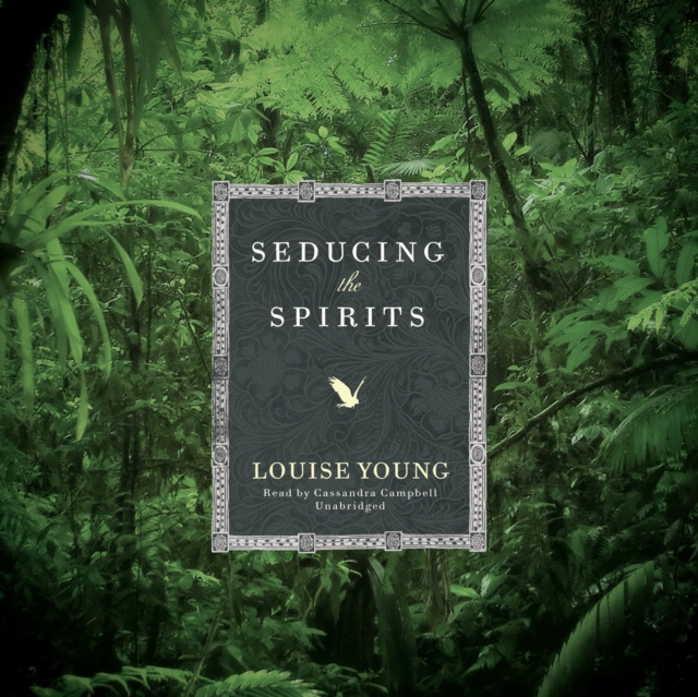 Audiokniha Seducing the Spirits Louise Young