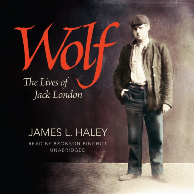 Audiokniha Wolf James L. Haley