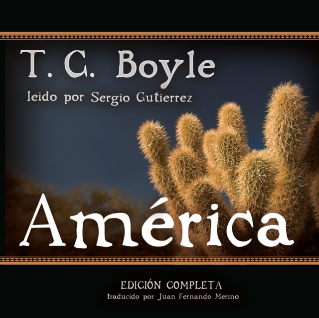 Audio knjiga America T. C. Boyle