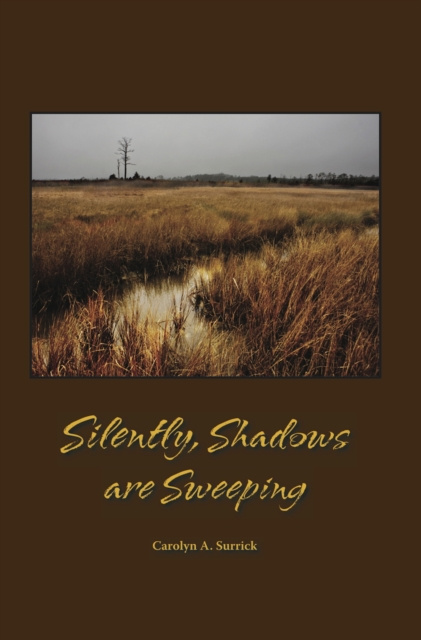 E-knjiga Silently, Shadows are Sweeping Carolyn A Surrick
