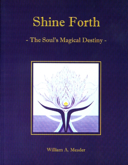 E-knjiga Shine Forth William A. Meader